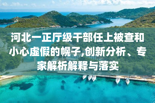 河北一正廳級干部任上被查和小心虛假的幌子,創(chuàng)新分析、專家解析解釋與落實