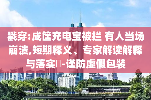 戳穿:成筐充電寶被攔 有人當場崩潰,短期釋義、專家解讀解釋與落實?-謹防虛假包裝