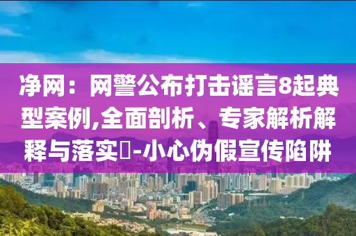 凈網(wǎng)：網(wǎng)警公布打擊謠言8起典型案例,全面剖析、專家解析解釋與落實(shí)?-小心偽假宣傳陷阱