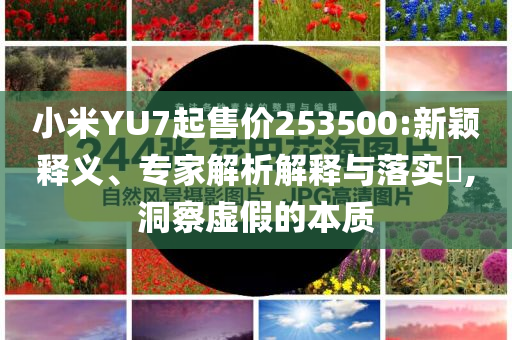 小米YU7起售價253500:新穎釋義、專家解析解釋與落實?,洞察虛假的本質(zhì)
