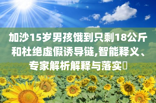 加沙15歲男孩餓到只剩18公斤和杜絕虛假誘導鏈,智能釋義、專家解析解釋與落實?