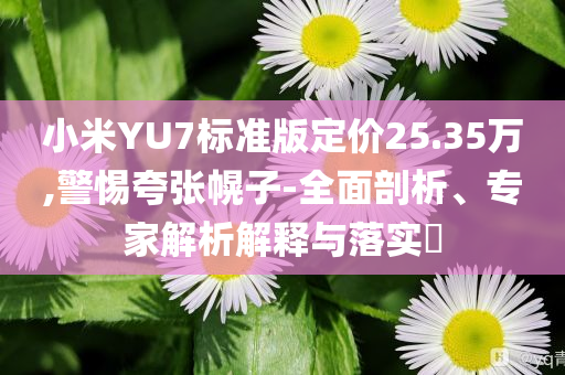小米YU7標(biāo)準(zhǔn)版定價(jià)25.35萬,警惕夸張幌子-全面剖析、專家解析解釋與落實(shí)?