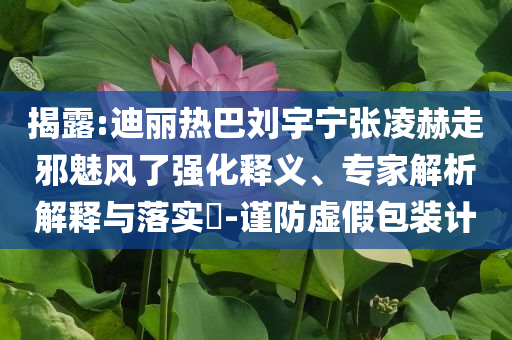 揭露:迪麗熱巴劉宇寧張凌赫走邪魅風(fēng)了強(qiáng)化釋義、專家解析解釋與落實(shí)?-謹(jǐn)防虛假包裝計(jì)