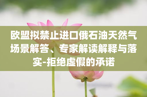 歐盟擬禁止進(jìn)口俄石油天然氣場(chǎng)景解答、專家解讀解釋與落實(shí)-拒絕虛假的承諾