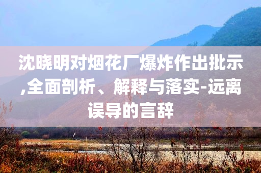 沈曉明對(duì)煙花廠爆炸作出批示,全面剖析、解釋與落實(shí)-遠(yuǎn)離誤導(dǎo)的言辭