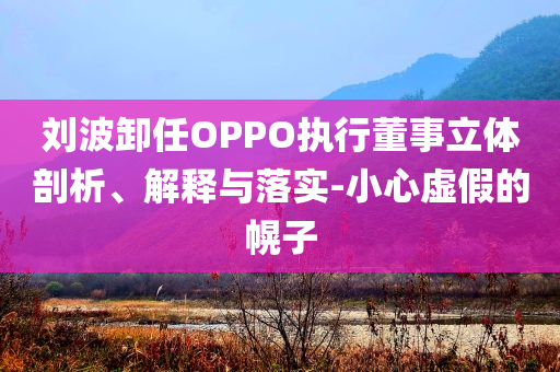 劉波卸任OPPO執(zhí)行董事立體剖析、解釋與落實(shí)-小心虛假的幌子
