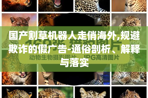 國(guó)產(chǎn)割草機(jī)器人走俏海外,規(guī)避欺詐的假?gòu)V告-通俗剖析、解釋與落實(shí)
