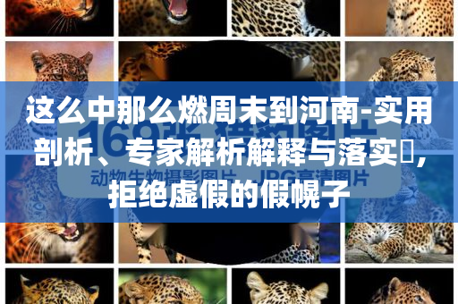 這么中那么燃周末到河南-實用剖析、專家解析解釋與落實?,拒絕虛假的假幌子