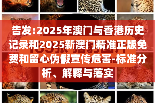 告发:2025年澳门与香港历史记录和2025新澳门精准正版免费和留心伪假宣传危害-标准分析、解释与落实