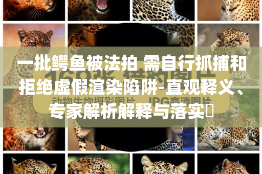一批鳄鱼被法拍 需自行抓捕和拒绝虚假渲染陷阱-直观释义、专家解析解释与落实​