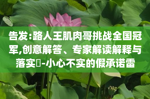 告发:路人王肌肉哥挑战全国冠军,创意解答、专家解读解释与落实​-小心不实的假承诺雷