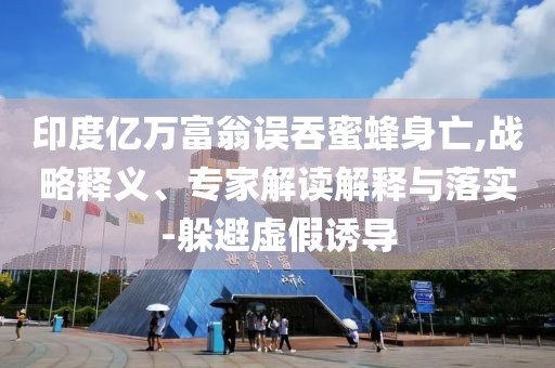 印度億萬富翁誤吞蜜蜂身亡,戰(zhàn)略釋義、專家解讀解釋與落實(shí)-躲避虛假誘導(dǎo)