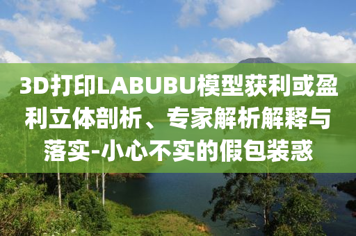 3D打印LABUBU模型獲利或盈利立體剖析、專家解析解釋與落實-小心不實的假包裝惑