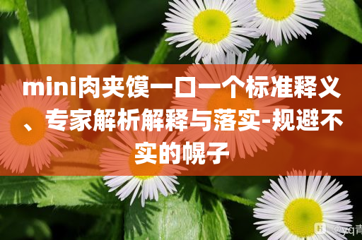 mini肉夾饃一口一個標準釋義、專家解析解釋與落實-規(guī)避不實的幌子