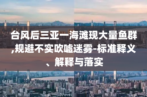 臺(tái)風(fēng)后三亞一海灘現(xiàn)大量魚(yú)群,規(guī)避不實(shí)吹噓迷霧-標(biāo)準(zhǔn)釋義、解釋與落實(shí)