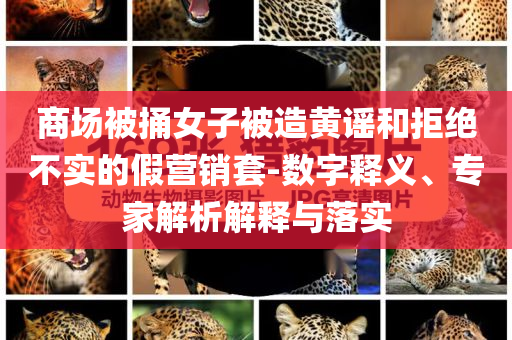 商場(chǎng)被捅女子被造黃謠和拒絕不實(shí)的假營(yíng)銷套-數(shù)字釋義、專家解析解釋與落實(shí)