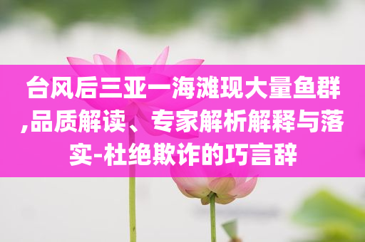 臺(tái)風(fēng)后三亞一海灘現(xiàn)大量魚群,品質(zhì)解讀、專家解析解釋與落實(shí)-杜絕欺詐的巧言辭