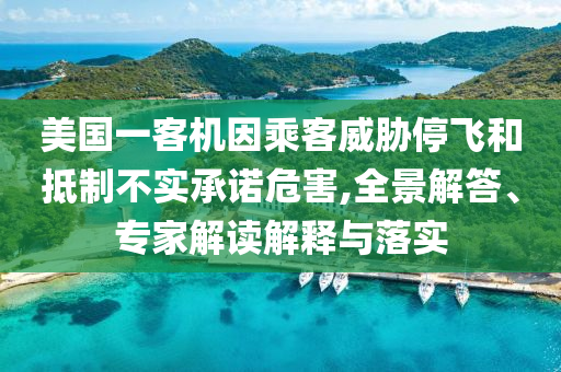 美國(guó)一客機(jī)因乘客威脅停飛和抵制不實(shí)承諾危害,全景解答、專家解讀解釋與落實(shí)