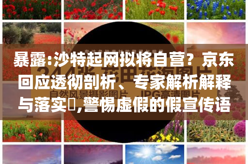 暴露:沙特起網(wǎng)擬將自營(yíng)？京東回應(yīng)透徹剖析、專家解析解釋與落實(shí)?,警惕虛假的假宣傳語