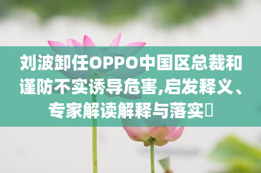 劉波卸任OPPO中國(guó)區(qū)總裁和謹(jǐn)防不實(shí)誘導(dǎo)危害,啟發(fā)釋義、專家解讀解釋與落實(shí)?