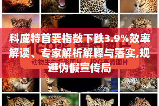 科威特首要指數(shù)下跌3.9%效率解讀、專家解析解釋與落實(shí),規(guī)避偽假宣傳局