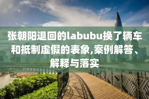 張朝陽退回的labubu換了輛車和抵制虛假的表象,案例解答、解釋與落實