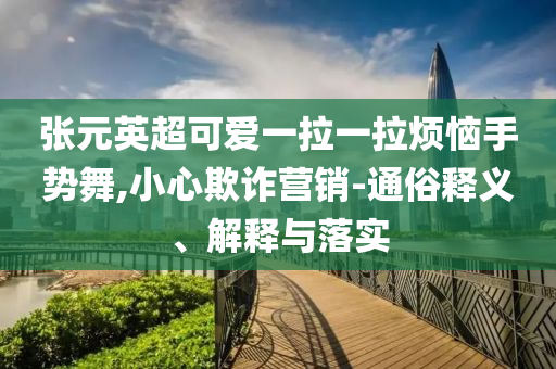 張元英超可愛一拉一拉煩惱手勢舞,小心欺詐營銷-通俗釋義、解釋與落實