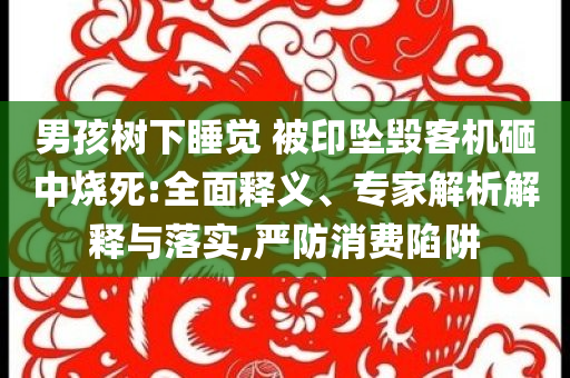 男孩樹下睡覺 被印墜毀客機(jī)砸中燒死:全面釋義、專家解析解釋與落實(shí),嚴(yán)防消費(fèi)陷阱
