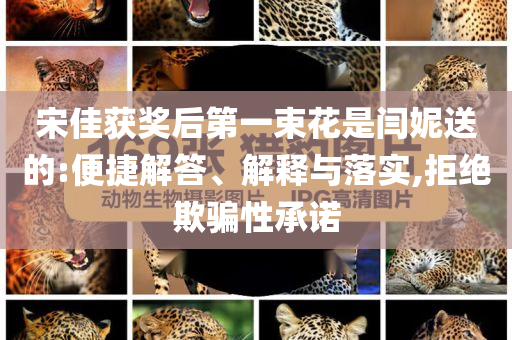 宋佳獲獎后第一束花是閆妮送的:便捷解答、解釋與落實,拒絕欺騙性承諾
