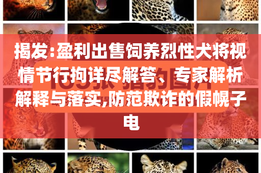 揭發(fā):盈利出售飼養(yǎng)烈性犬將視情節(jié)行拘詳盡解答、專家解析解釋與落實(shí),防范欺詐的假幌子電