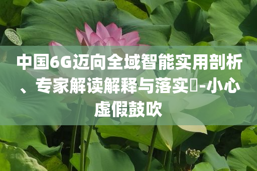 中國(guó)6G邁向全域智能實(shí)用剖析、專家解讀解釋與落實(shí)?-小心虛假鼓吹