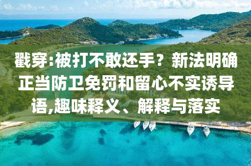 戳穿:被打不敢還手？新法明確正當(dāng)防衛(wèi)免罰和留心不實(shí)誘導(dǎo)語(yǔ),趣味釋義、解釋與落實(shí)