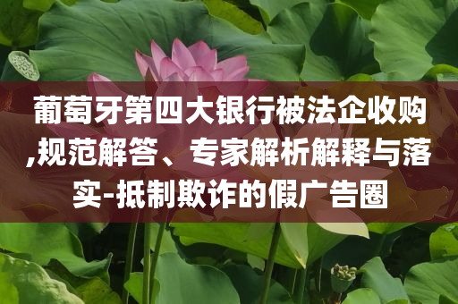 葡萄牙第四大銀行被法企收購,規(guī)范解答、專家解析解釋與落實-抵制欺詐的假廣告圈