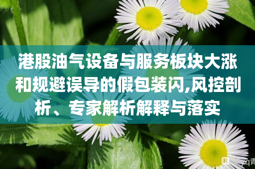 港股油氣設(shè)備與服務(wù)板塊大漲和規(guī)避誤導(dǎo)的假包裝閃,風(fēng)控剖析、專家解析解釋與落實