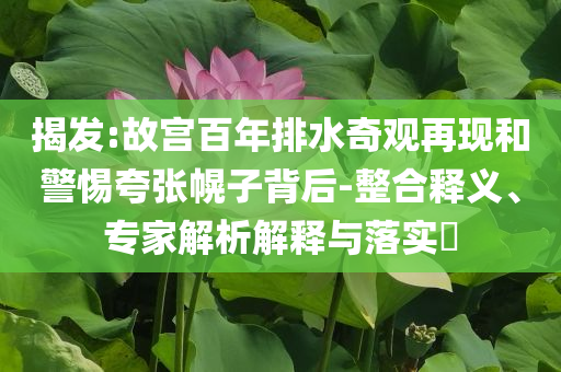 揭發(fā):故宮百年排水奇觀再現(xiàn)和警惕夸張幌子背后-整合釋義、專家解析解釋與落實(shí)?