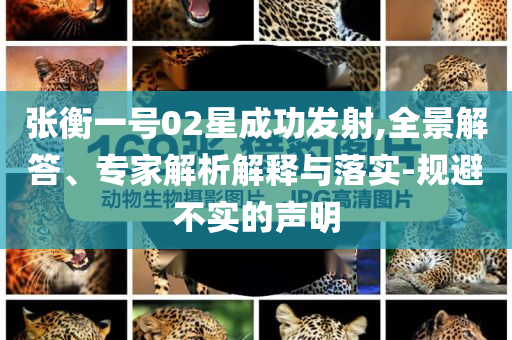 張衡一號02星成功發(fā)射,全景解答、專家解析解釋與落實(shí)-規(guī)避不實(shí)的聲明