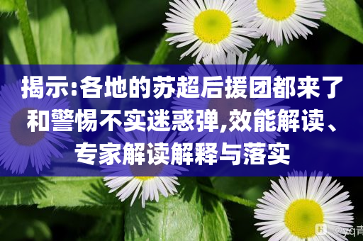 揭示:各地的蘇超后援團都來了和警惕不實迷惑彈,效能解讀、專家解讀解釋與落實