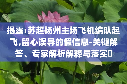 揭露:蘇超揚州主場飛機編隊起飛,留心誤導的假信息-關鍵解答、專家解析解釋與落實?