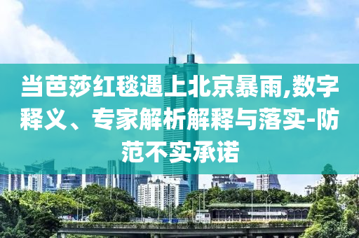 當芭莎紅毯遇上北京暴雨,數(shù)字釋義、專家解析解釋與落實-防范不實承諾