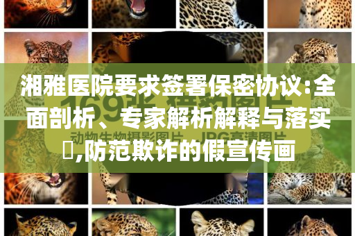 湘雅醫(yī)院要求簽署保密協(xié)議:全面剖析、專(zhuān)家解析解釋與落實(shí)?,防范欺詐的假宣傳畫(huà)