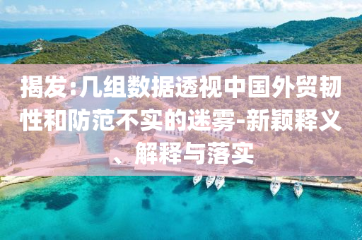 揭發(fā):幾組數(shù)據(jù)透視中國外貿(mào)韌性和防范不實的迷霧-新穎釋義、解釋與落實