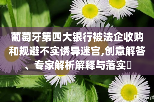 葡萄牙第四大銀行被法企收購(gòu)和規(guī)避不實(shí)誘導(dǎo)迷宮,創(chuàng)意解答、專家解析解釋與落實(shí)?