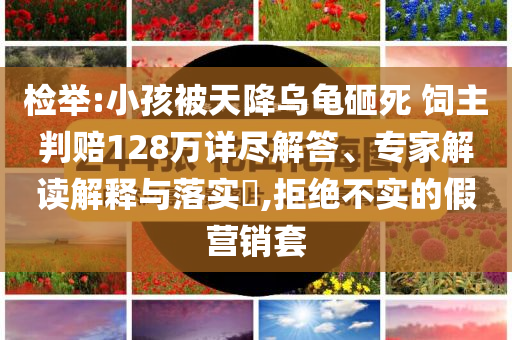 檢舉:小孩被天降烏龜砸死 飼主判賠128萬(wàn)詳盡解答、專家解讀解釋與落實(shí)?,拒絕不實(shí)的假營(yíng)銷套