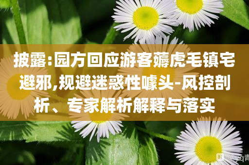 king擺渡 第351頁