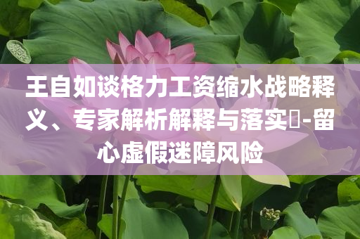 王自如談格力工資縮水戰(zhàn)略釋義、專家解析解釋與落實?-留心虛假迷障風險