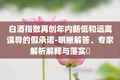 白酒指數(shù)再創(chuàng)年內(nèi)新低和遠(yuǎn)離誤導(dǎo)的假承諾-明晰解答、專家解析解釋與落實(shí)?
