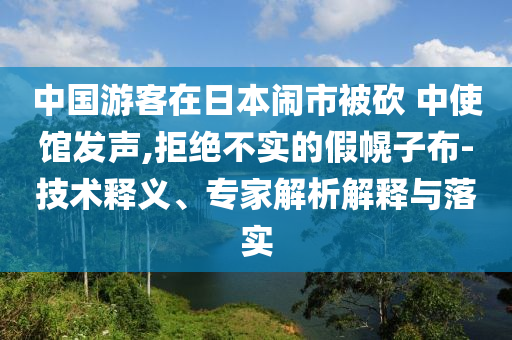 中國游客在日本鬧市被砍 中使館發(fā)聲,拒絕不實的假幌子布-技術(shù)釋義、專家解析解釋與落實