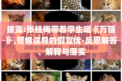 披露:張桂梅帶著學(xué)生唱《萬(wàn)疆》,警惕誤導(dǎo)的假宣傳-反思解答、解釋與落實(shí)