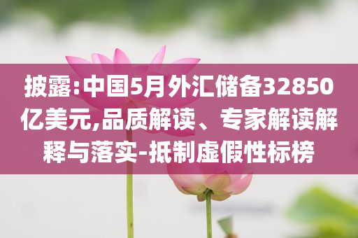 披露:中國(guó)5月外匯儲(chǔ)備32850億美元,品質(zhì)解讀、專家解讀解釋與落實(shí)-抵制虛假性標(biāo)榜