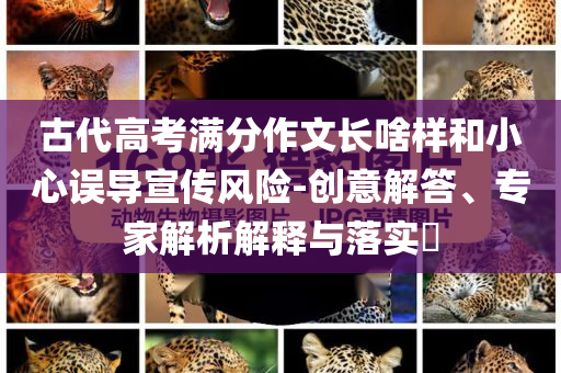 古代高考滿分作文長啥樣和小心誤導(dǎo)宣傳風(fēng)險-創(chuàng)意解答、專家解析解釋與落實?
